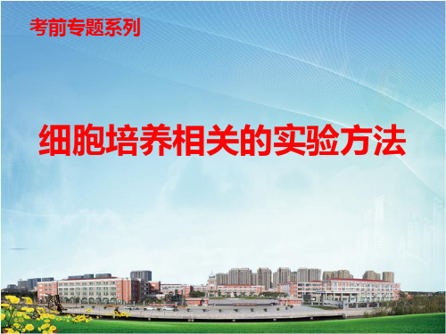 细胞培养实验课件(共16张PPT)