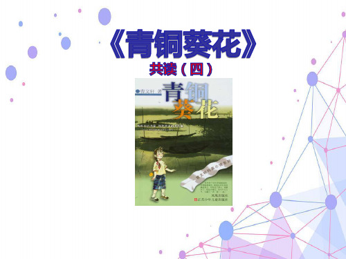 跟着经典童书共读共写6李云制作：青铜葵花共读四