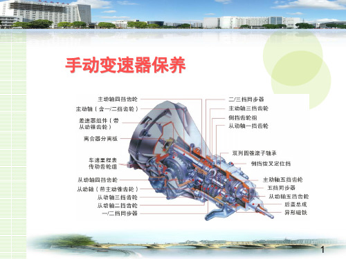 手动变速器油维护
