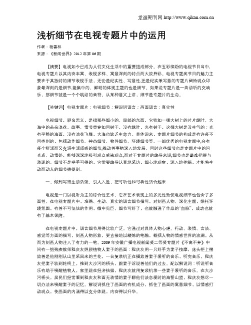浅析细节在电视专题片中的运用
