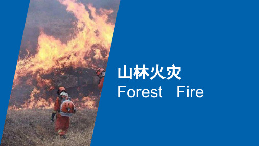 山林火灾(热点类灾害专题)(共50张PPT)