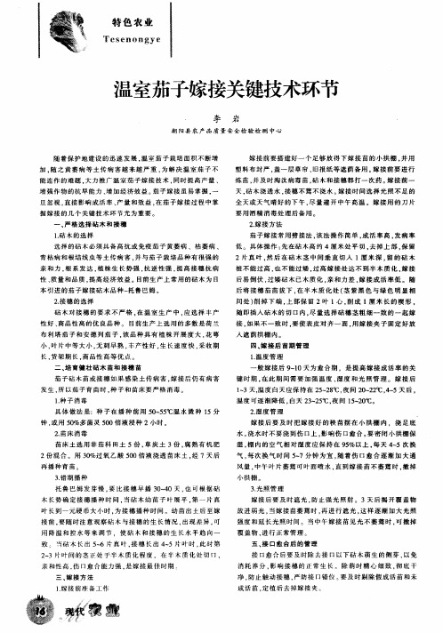 温室茄子嫁接关键技术环节