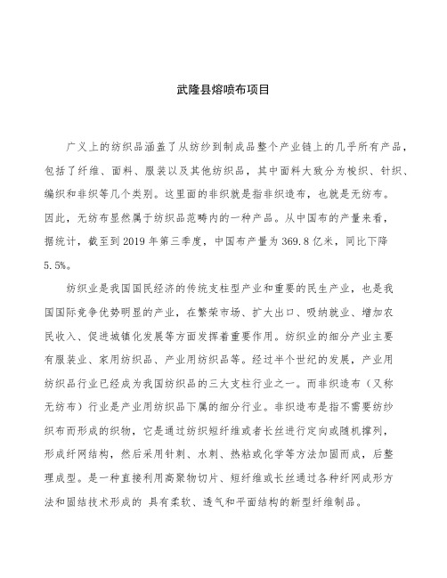 武隆县熔喷布项目立项申请报告