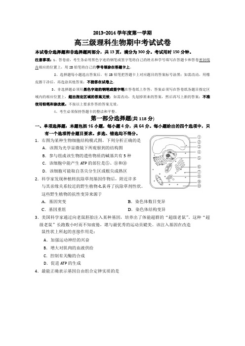 广东省执信中学2014届高三上学期期中考试生物试题