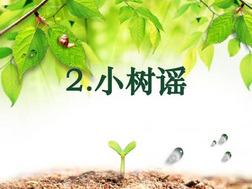 《小树谣》 精品PPT课件