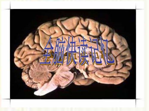 《全脑快读记忆法》PPT课件