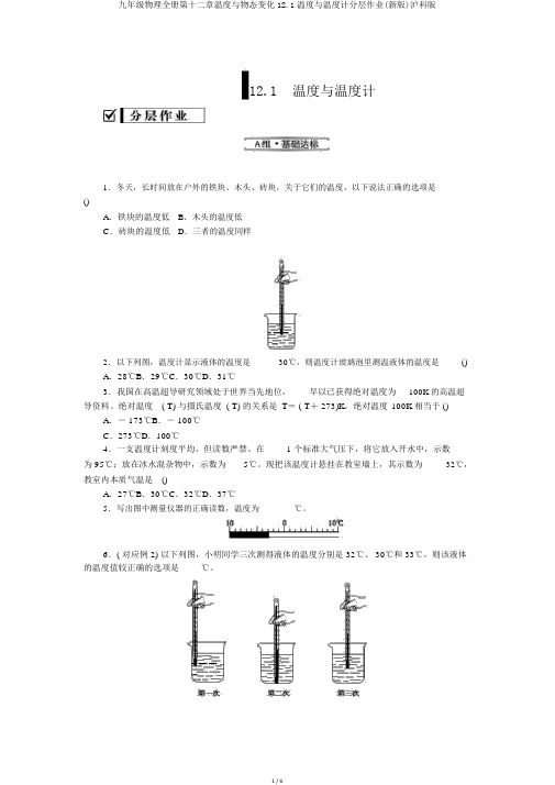 九年级物理全册第十二章温度与物态变化12.1温度与温度计分层作业(新版)沪科版