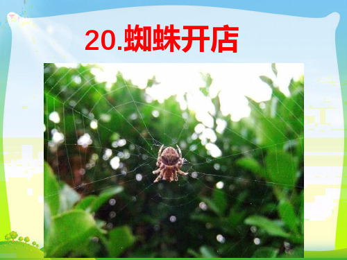 人教部编版二年级下册语文课件-20.蜘蛛开店 (共24张PPT)