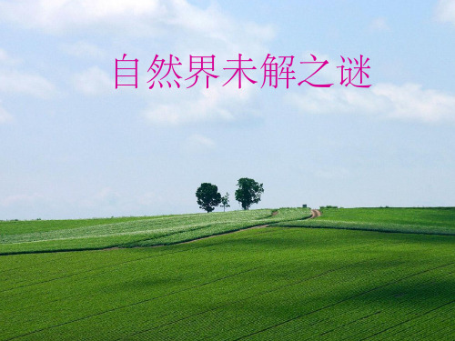 未解之谜的ppt