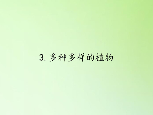科学六年级上册(教科版)4-3多种多样的植物 (2)(课件)