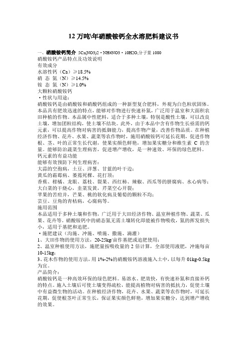 12万吨年硝酸铵钙建议书