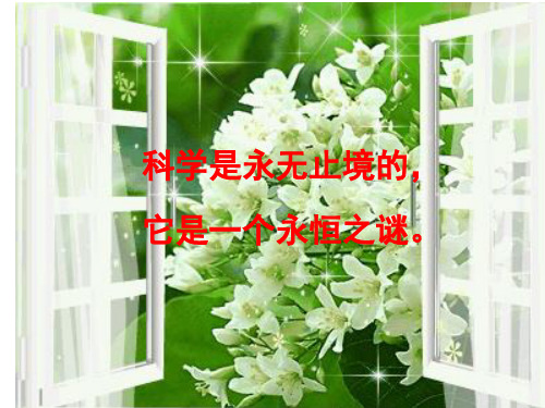 品悟课标,研读教材说课修改