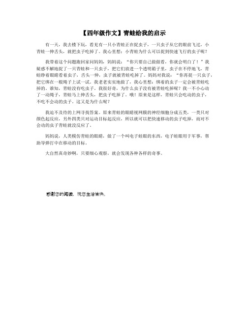【四年级作文】青蛙给我的启示