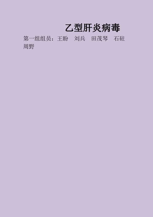 乙肝病毒