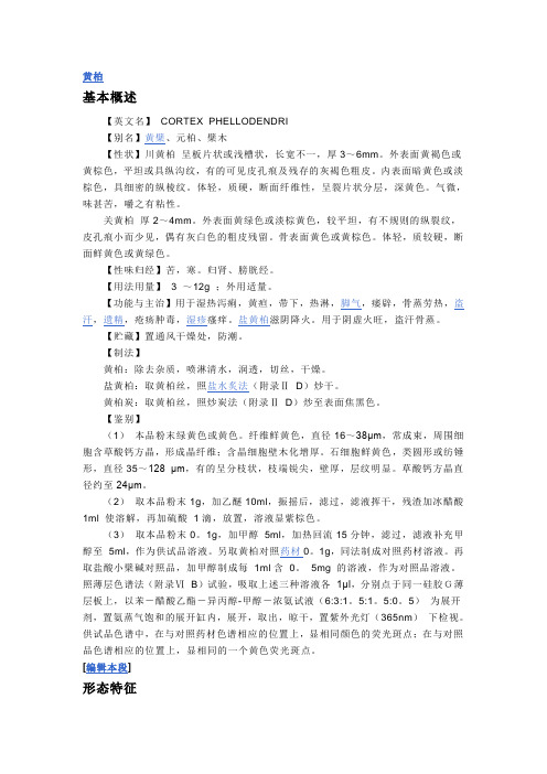 黄柏
