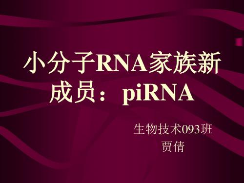 小分子RNA家族新成员：piRNA