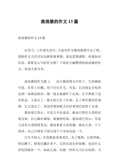流浪猫的作文13篇