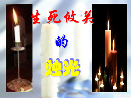 北师大版小学五年级语文上册生死攸关的烛光课件