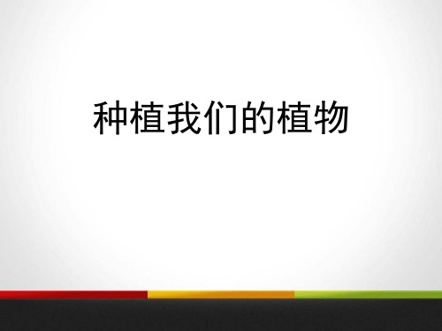 种植我们的植物-植物的生长变化PPT全文课件