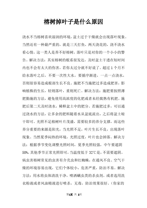 榕树掉叶子是什么原因 