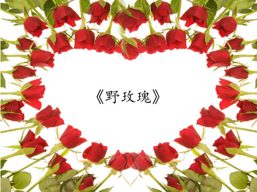 花城出版社／广东教育出版社小学六年级音乐下册(简谱)《野玫瑰》_课件1