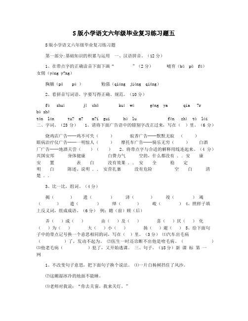 S版小学语文六年级毕业复习练习题五