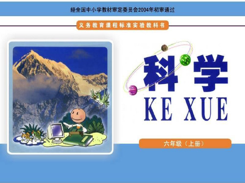 小学科学六上第四单元：1能量家族