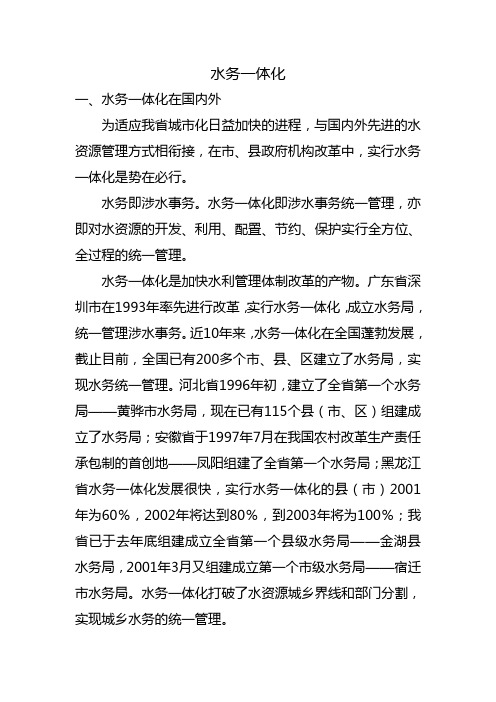 水务一体化