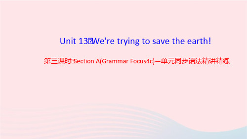 英语九年级全册Unit13第3课时单元同步语法精讲精练作业课件 人教新目标版