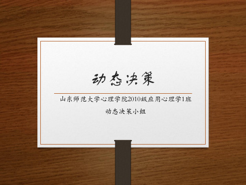 动态决策