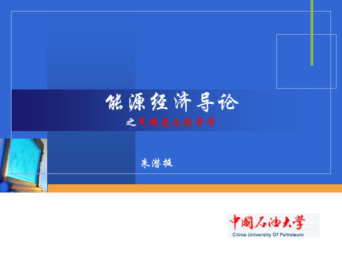 能源经济导论-中国石油大学北京