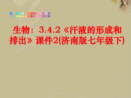 生物：3.4.2《汗液的形成和排出》课件2(济南版七年级下)