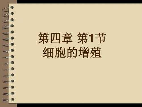 人教版必修1第六章第一节 细胞的增殖(共19张PPT)