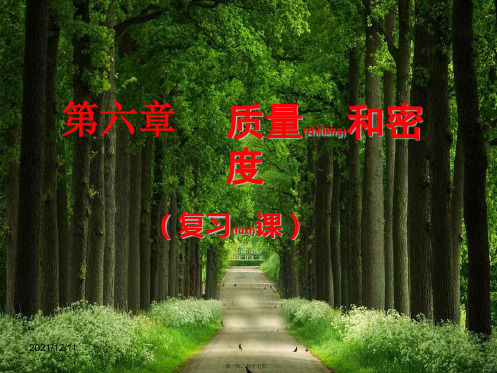中考物理一轮复习 质量和密课件