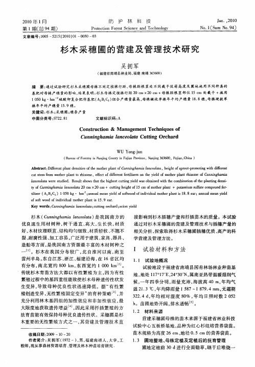 杉木采穗圃的营建及管理技术研究