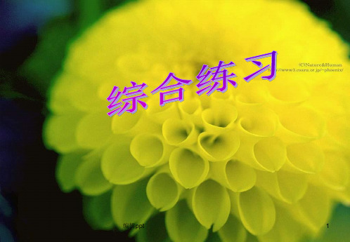 小学数学一年级下册《认识时间练习