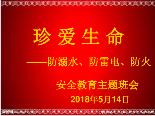 防珍爱生命,严防溺水安全防雷电安全教育主题班会课件