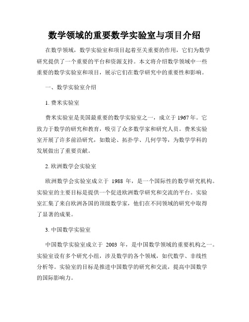 数学领域的重要数学实验室与项目介绍