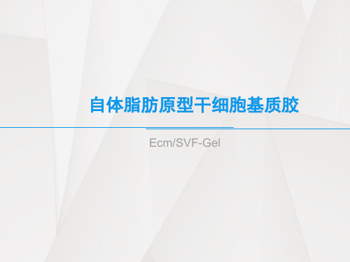 脂肪原型细胞基质胶(ecm、svf-gel)