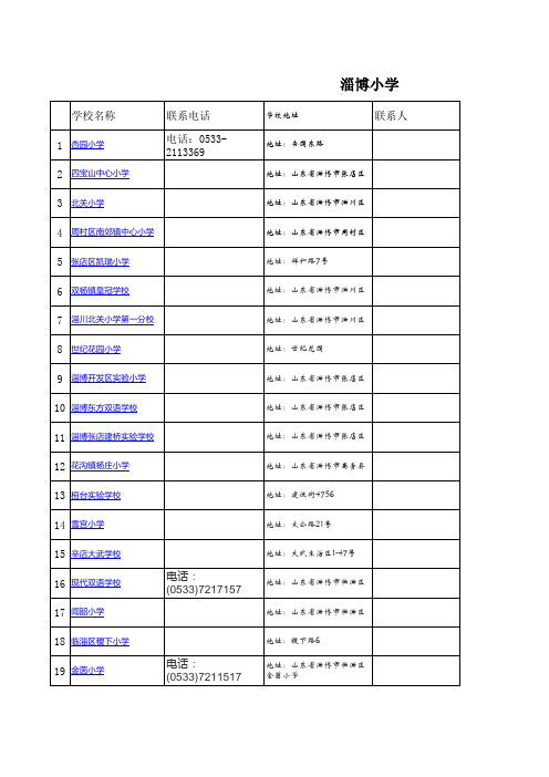 淄博小学情况表