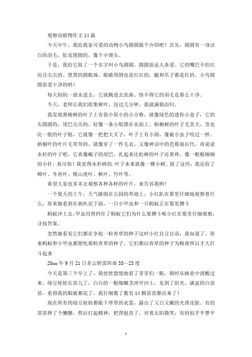 观察动植物作文14篇(精选)