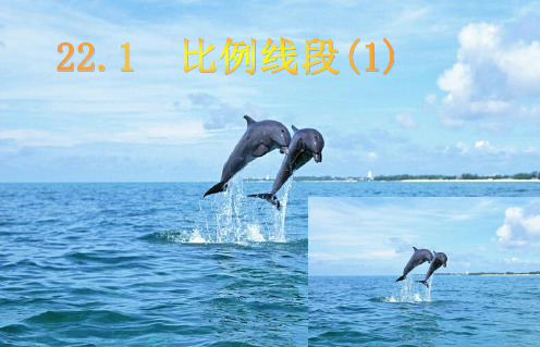 沪科版九年级上册数学：相似形(公开课课件)
