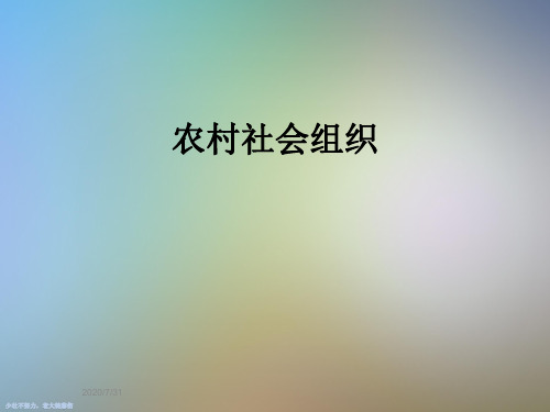 农村社会组织