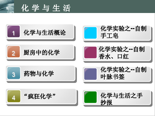 化学与生活选修课精品PPT课件