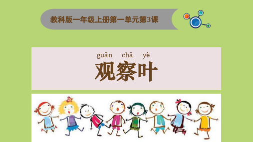 一年级上册科学课件：1-3观察叶：教科版(2017)