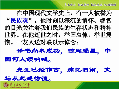 记念刘和珍君-江苏省盐城市阜宁县东沟中学苏教版高中语文必修5课件(共49张PPT)