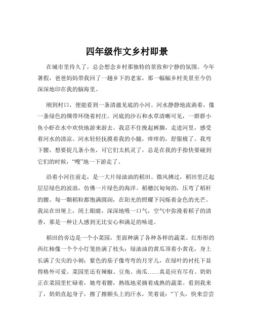 四年级作文乡村即景