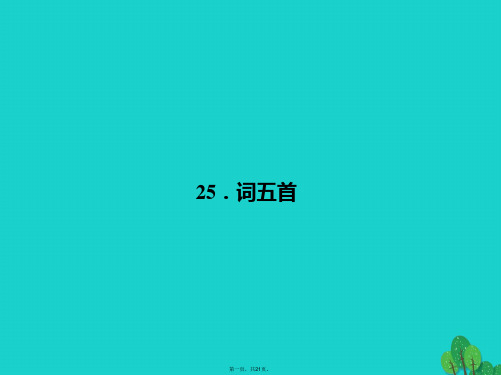 九年级语文上册第六单元25《词五首》课件(新版)新人教版