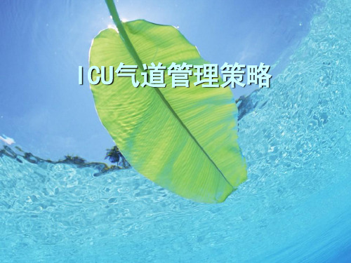 ICU气道管理策略