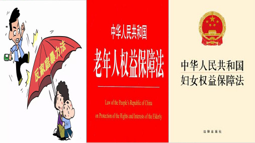 人教版《道德与法治》七年级下册.法律为我们护航课件6-PPT精美课件